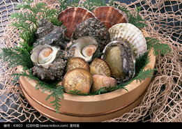 魚(yú)蝦176
